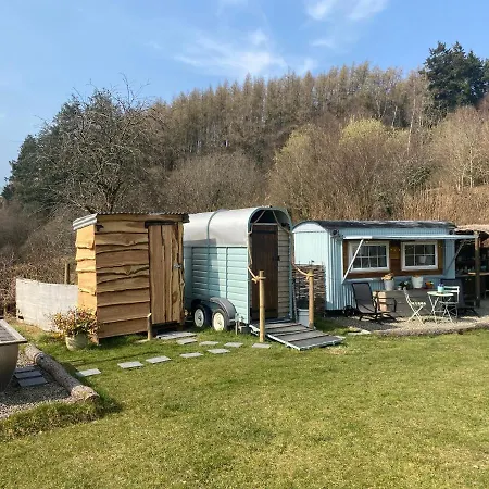 Belan Bluebell Woods Shepherds Hut Llanidloes Exterior photo