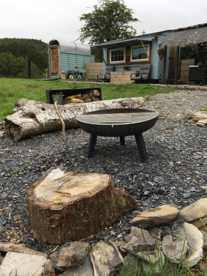 Alojamento de Turismo Selvagem Belan Bluebell Woods Shepherds Hut Llanidloes