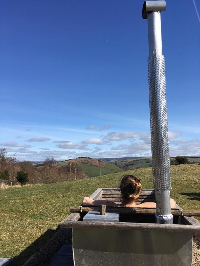 Alojamento de Turismo Selvagem Belan Bluebell Woods Shepherds Hut Llanidloes
