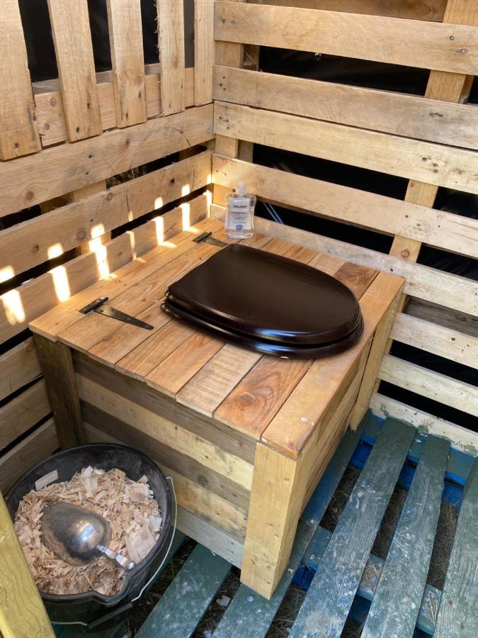 Alojamento de Turismo Selvagem Belan Bluebell Woods Shepherds Hut Llanidloes