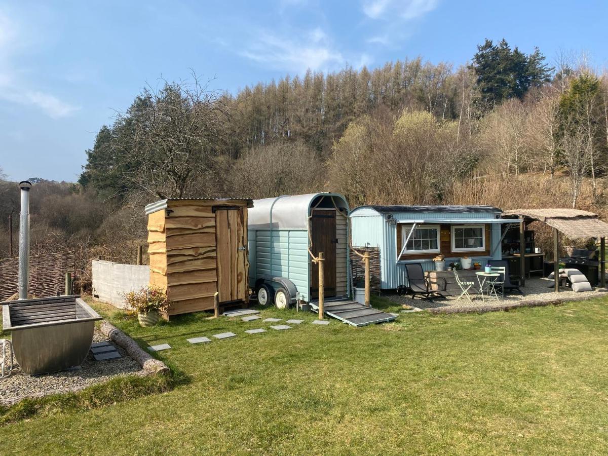 Belan Bluebell Woods Shepherds Hut Llanidloes